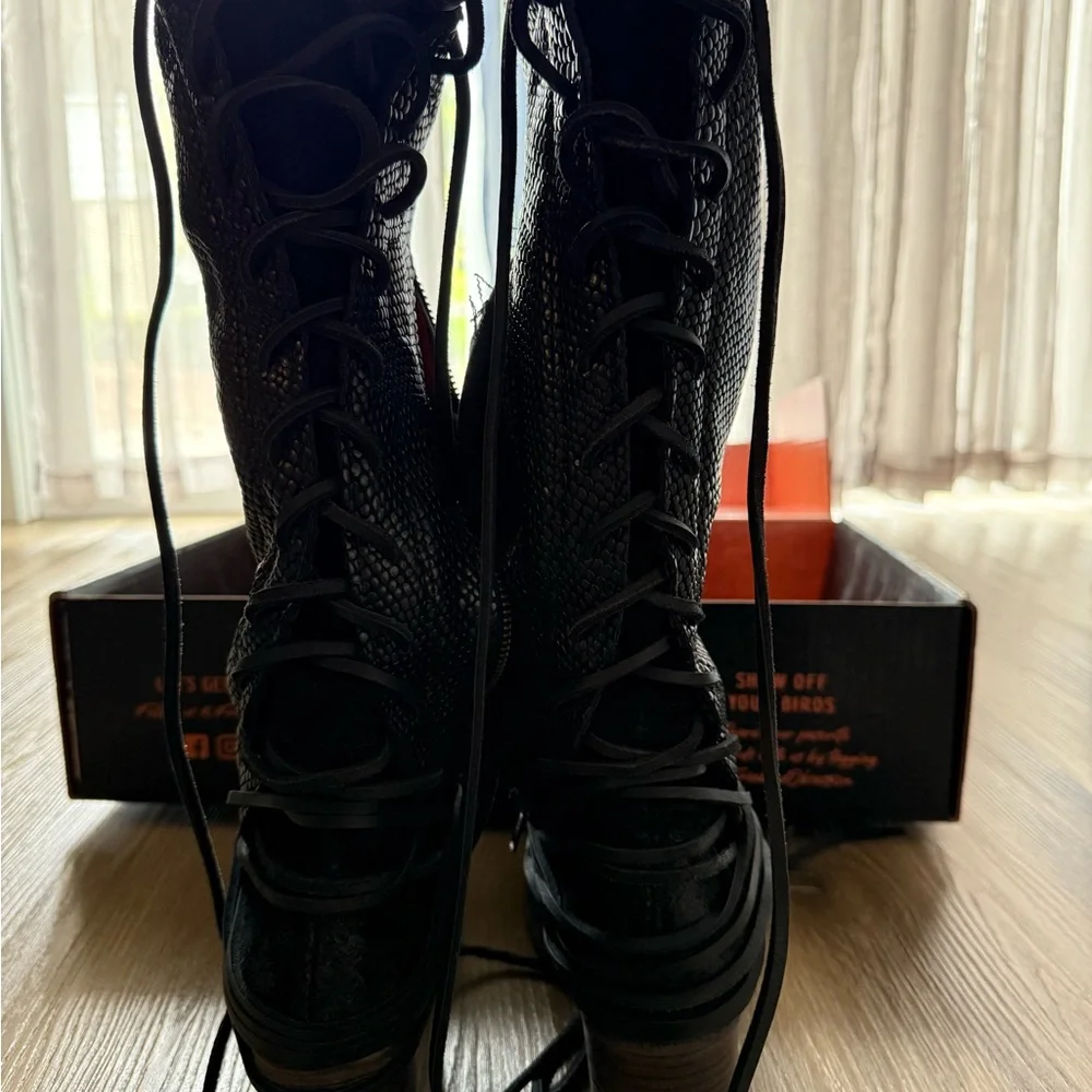 Freebird Coal black Snake - Picture 4 of 9